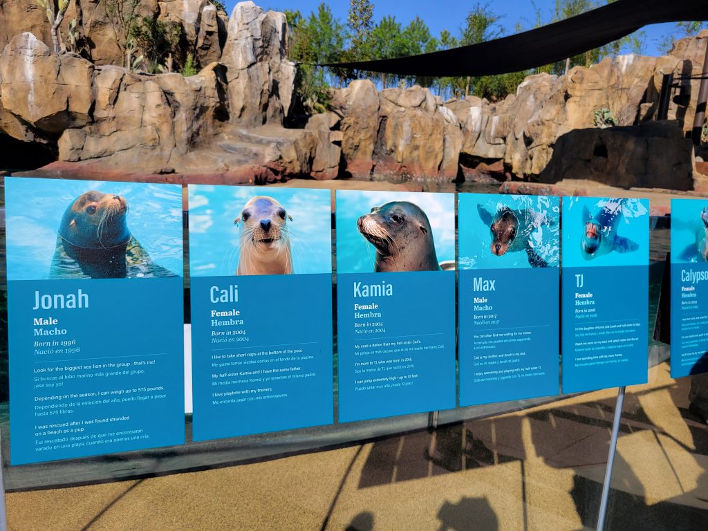 Translations Houston Zoo
